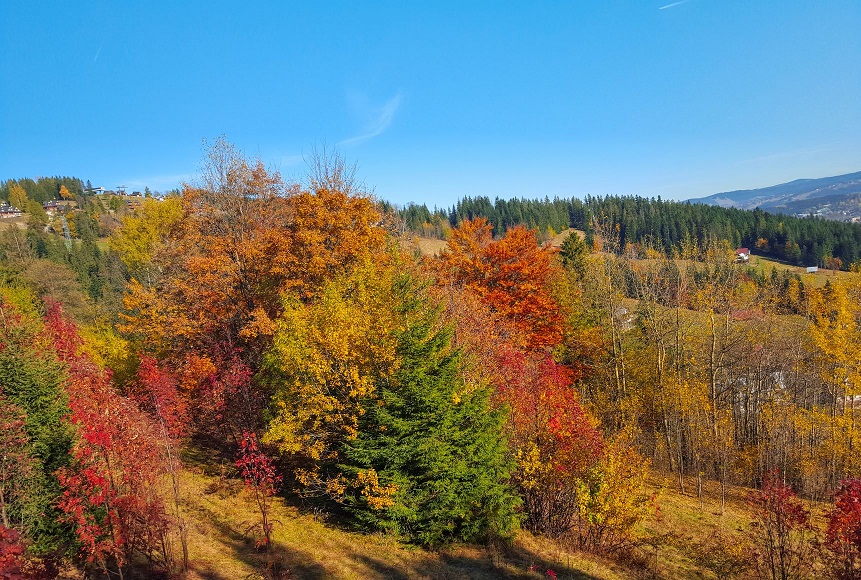 Kolorowy skarbiec Butorowego Wierchu Daria Pczek2
