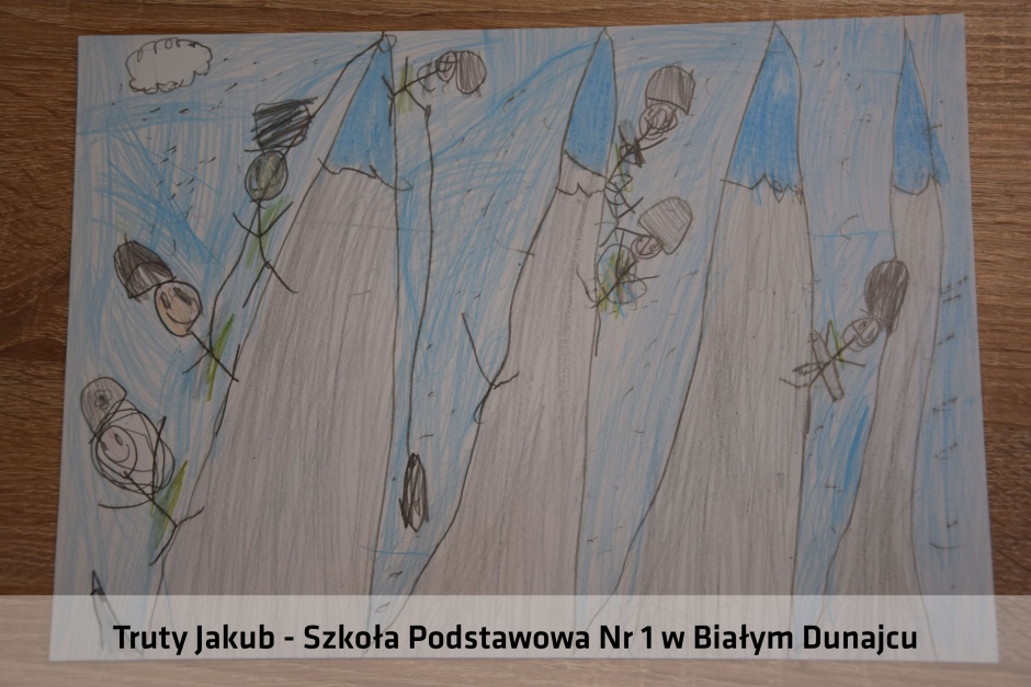 DSC_0230_large.JPG