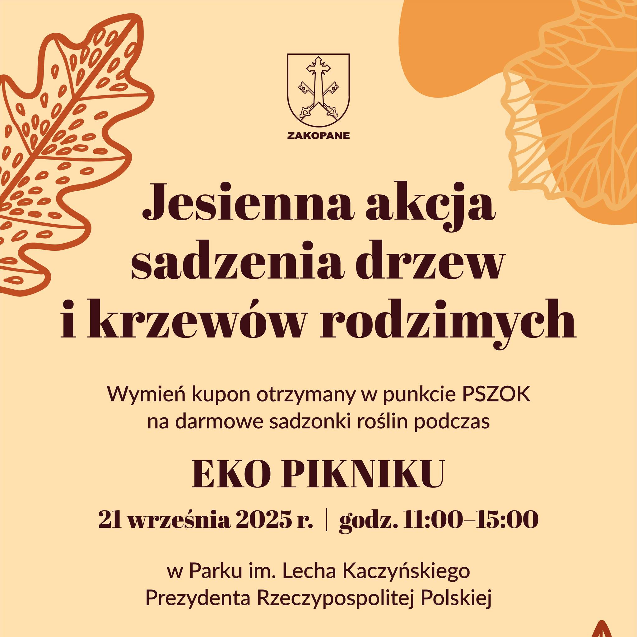 547647825 1177853851044644 1719537378788687674 n