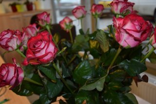 DSC_0020_large.JPG